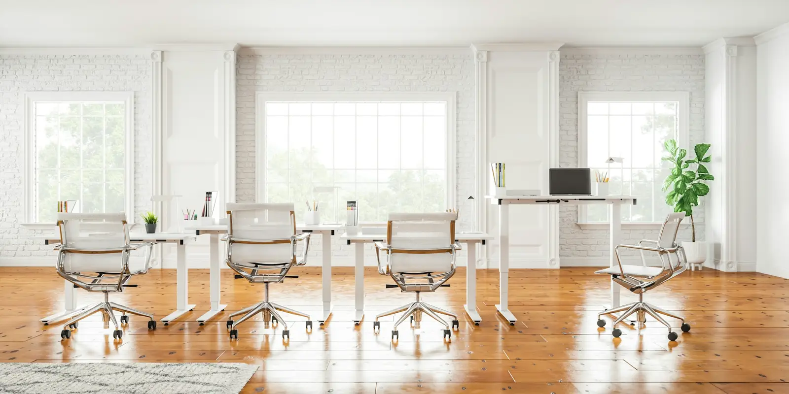 Office with white walls, wood floors and large windows