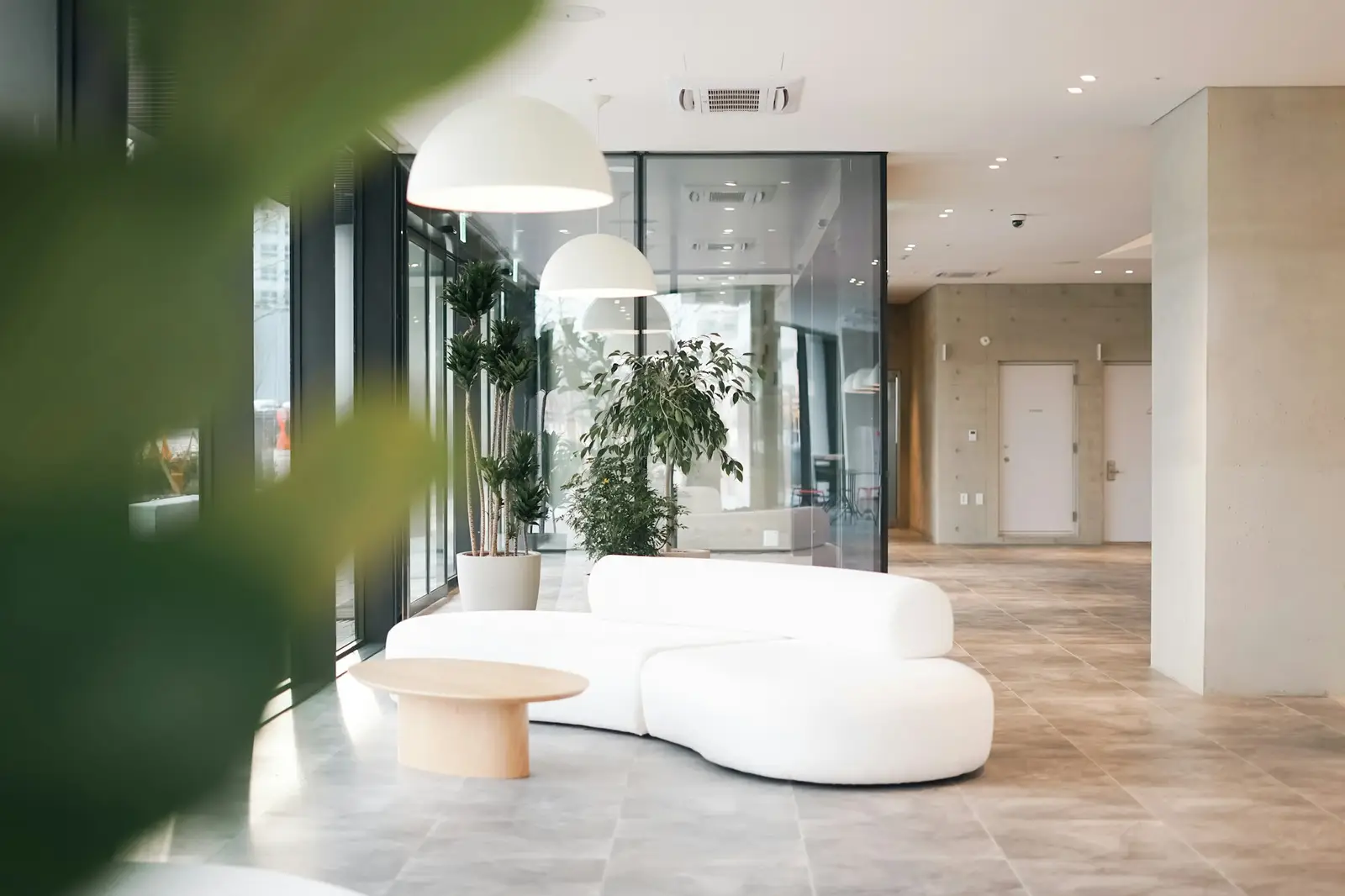 Open-plan office lobby with plants and white seating